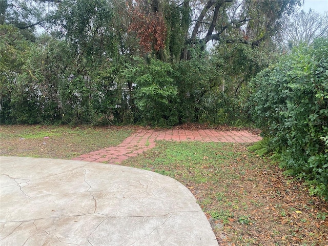 view of yard featuring a patio