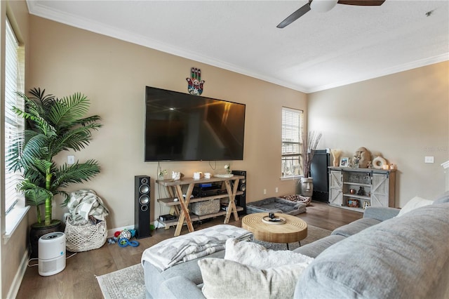 living room featuring dark hardwood / wood-style floors, ceiling fan, and ornamental molding