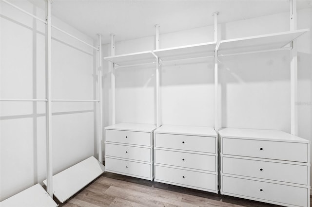 walk in closet featuring hardwood / wood-style flooring