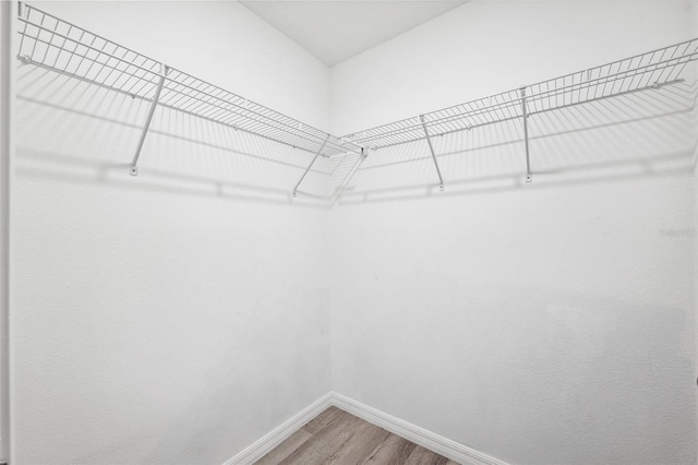 spacious closet featuring hardwood / wood-style flooring