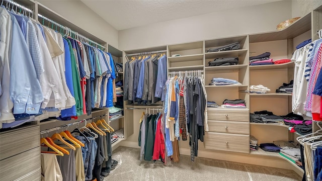 walk in closet featuring carpet flooring