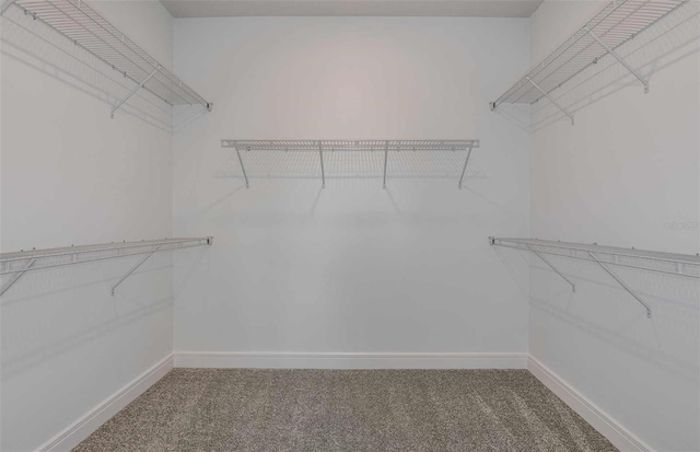 spacious closet with carpet floors