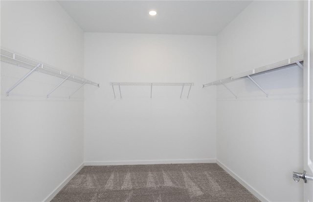 6805 SW 90th Loop, Ocala, FL 34476 - spacious closet with carpet floors