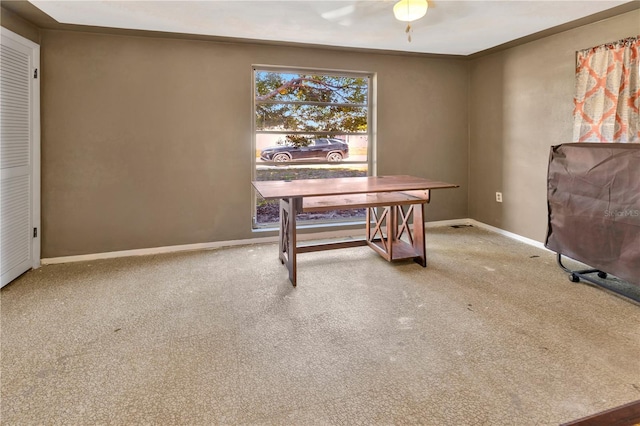 office area featuring carpet flooring