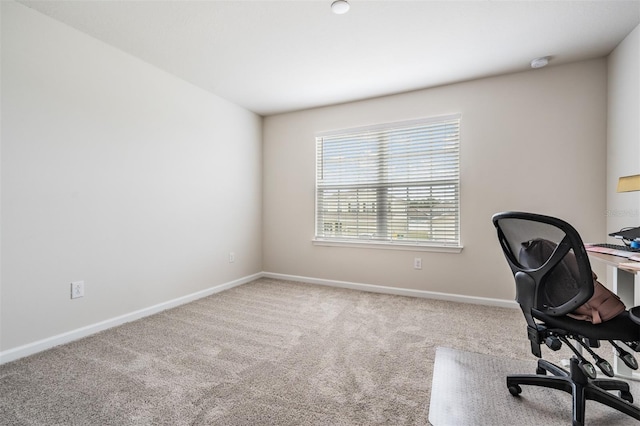 office with carpet floors