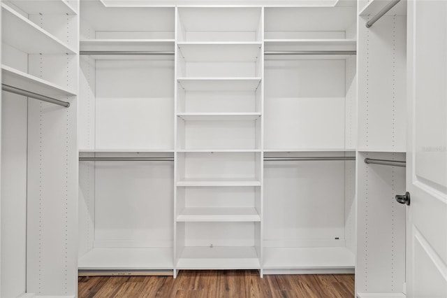 spacious closet featuring dark hardwood / wood-style flooring