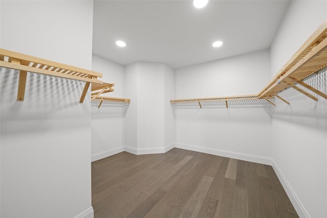 spacious closet featuring wood finished floors