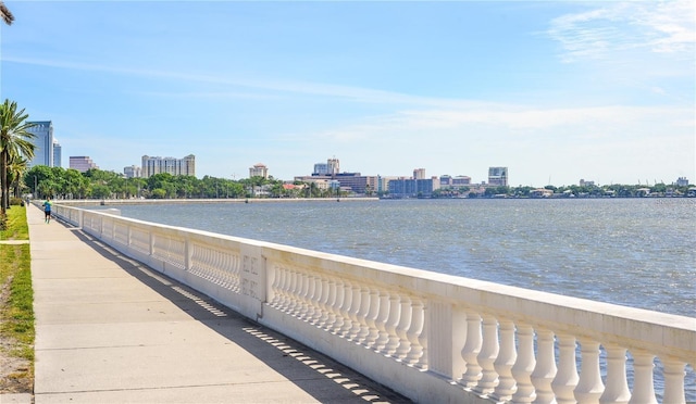 view of water feature featuring a city view