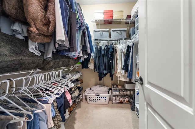 walk in closet featuring carpet