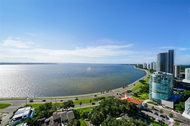 aerial view with a water view