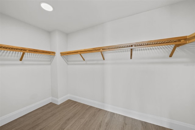 walk in closet with hardwood / wood-style flooring