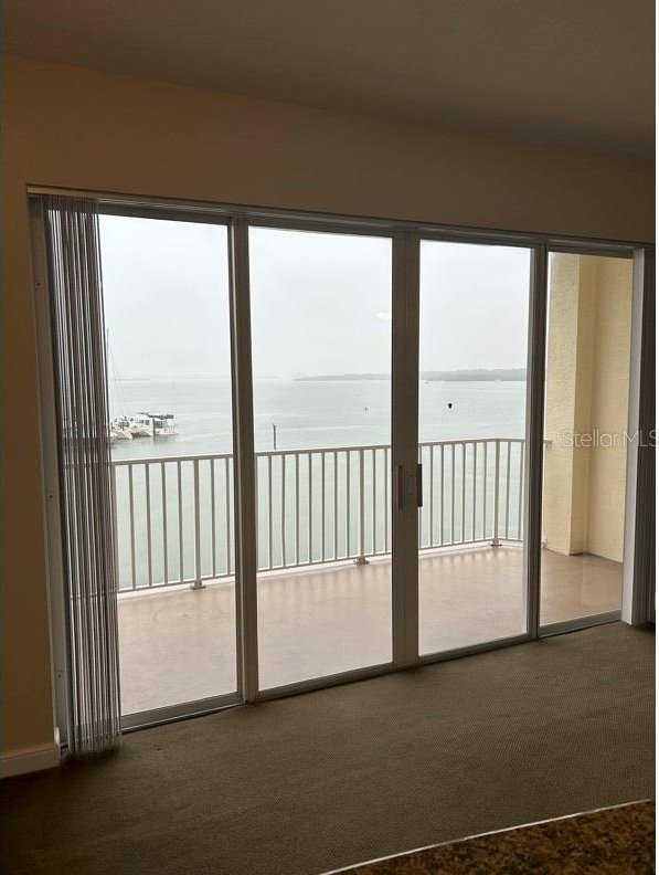 entryway with a water view, carpet flooring, and a wealth of natural light