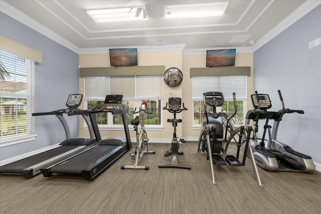 workout area featuring crown molding and carpet flooring