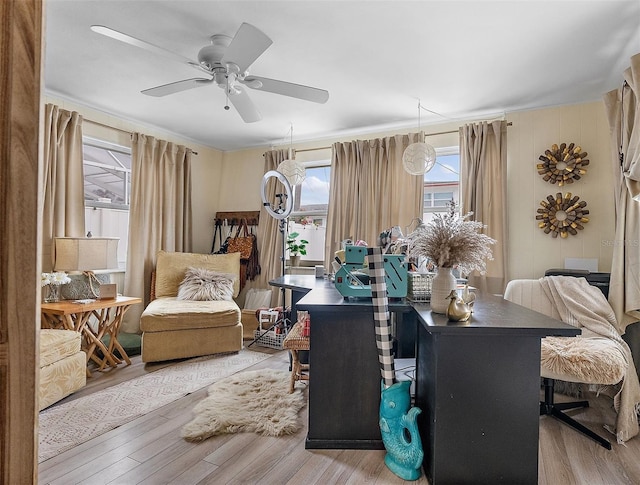 dining room featuring ornamental molding, ceiling fan, and light hardwood / wood-style flooring