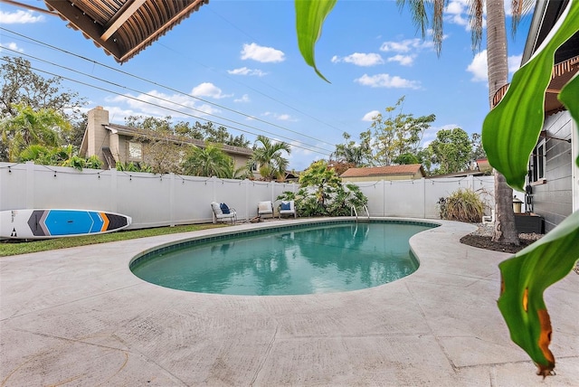 view of pool with a patio