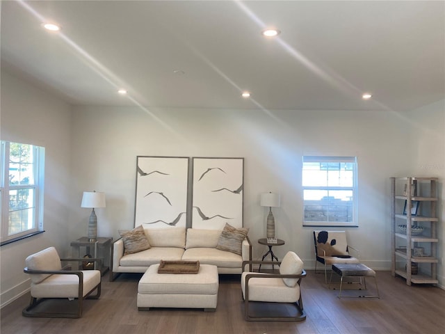 living room featuring dark hardwood / wood-style flooring