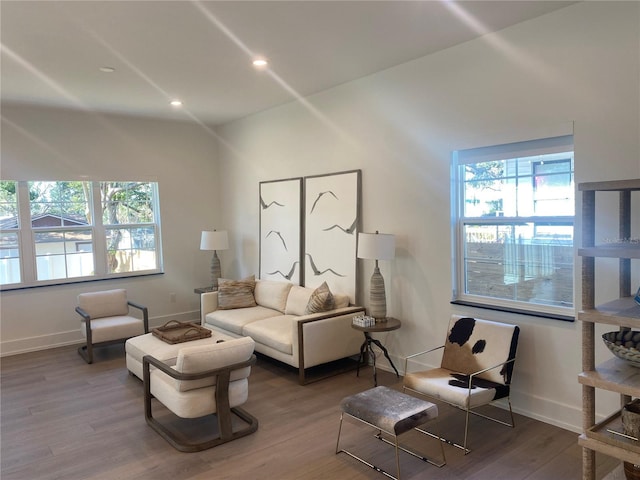 living room featuring hardwood / wood-style flooring and plenty of natural light