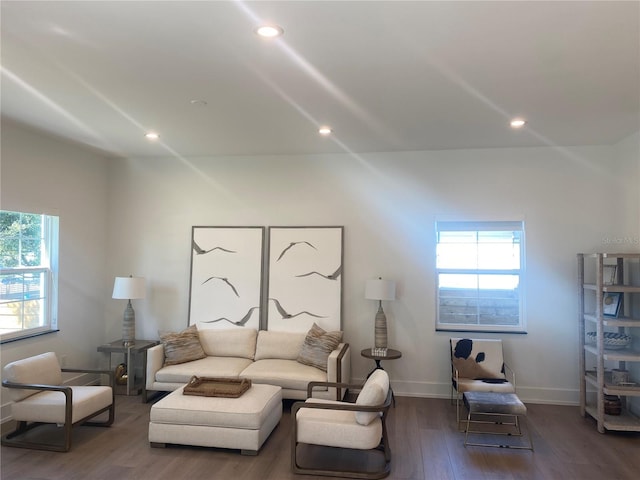 living room with dark hardwood / wood-style flooring