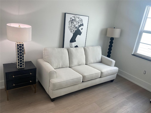 living room featuring light hardwood / wood-style floors