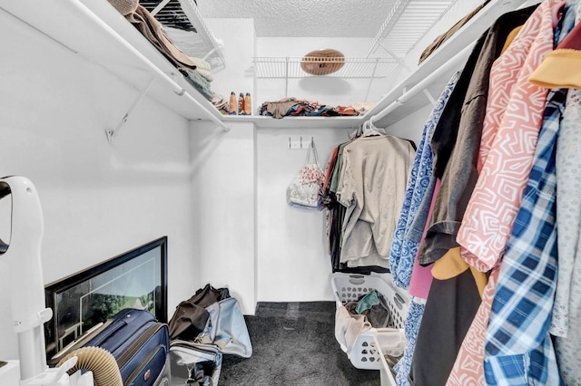 spacious closet featuring carpet flooring