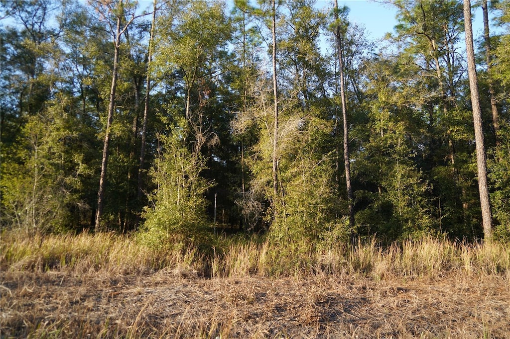 SW 38th Pl Unit 38, Ocala, FL 34481 - photo 2