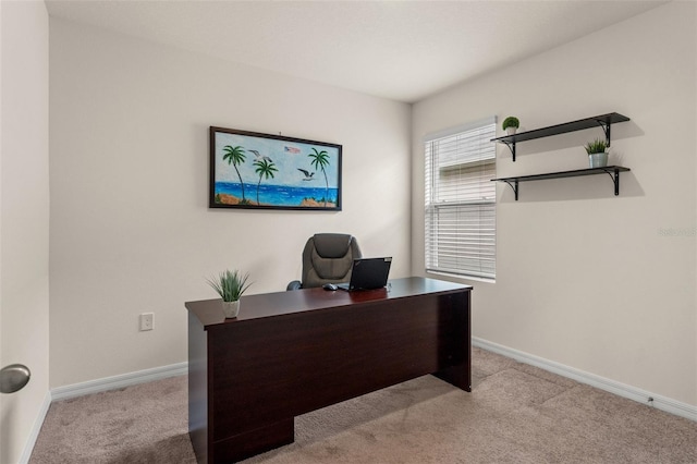 office area featuring light colored carpet