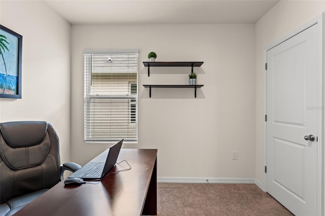 office featuring light carpet