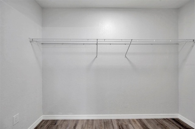 spacious closet featuring dark wood-type flooring