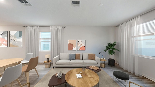 living room with hardwood / wood-style floors