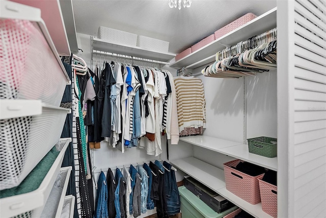 view of spacious closet