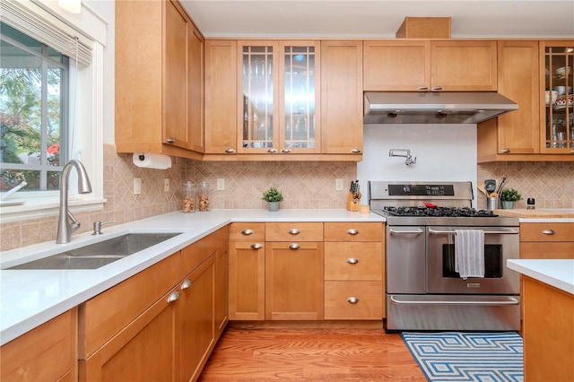 kitchen featuring sink, decorative backsplash, light hardwood / wood-style flooring, and range with two ovens