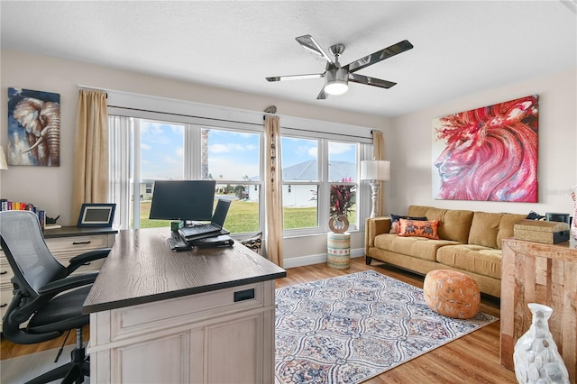 office area with light hardwood / wood-style floors and ceiling fan