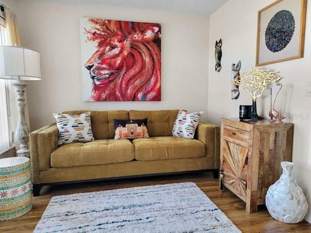 living room featuring dark hardwood / wood-style floors