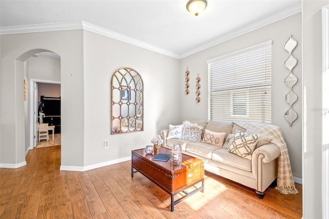 living room with hardwood / wood-style floors and ornamental molding