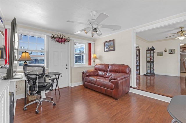 office space featuring ceiling fan, crown molding, and dark hardwood / wood-style floors