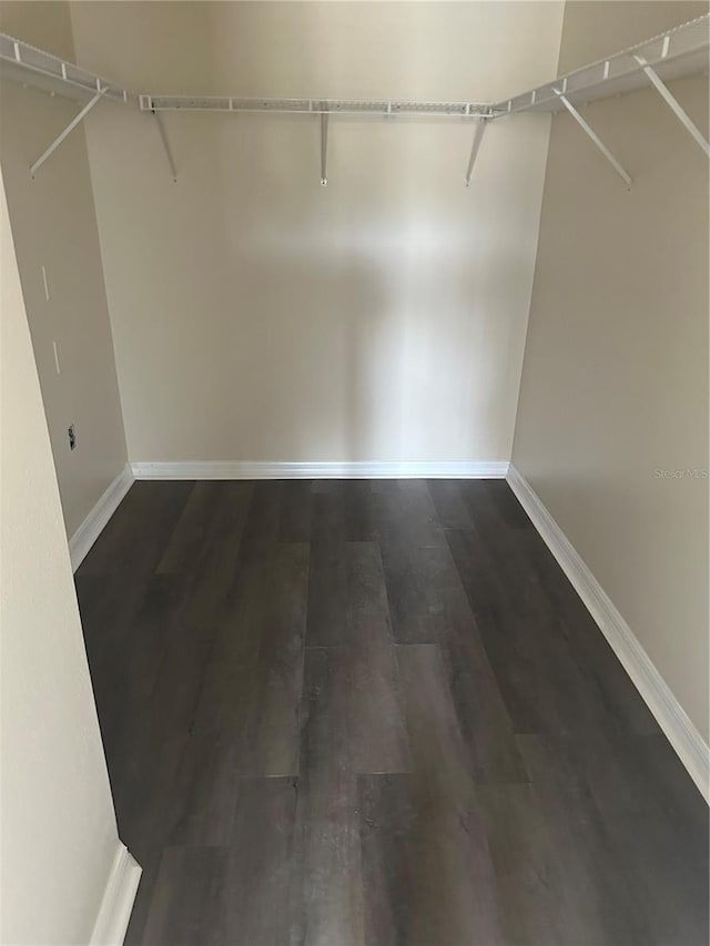 walk in closet with wood-type flooring