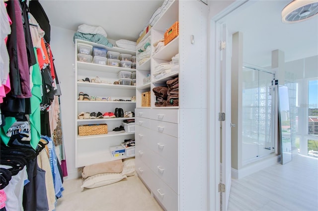 view of walk in closet