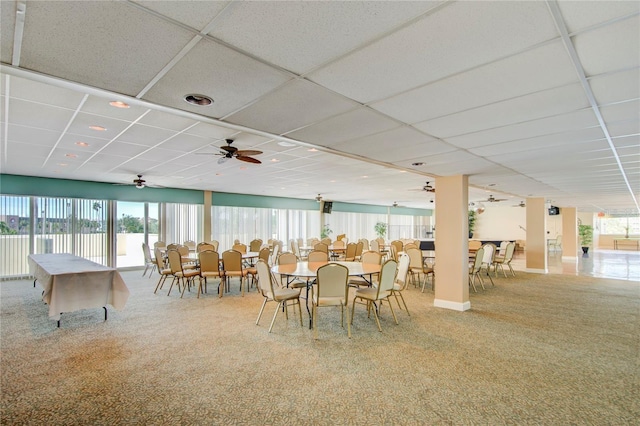 carpeted dining room with a wealth of natural light and a drop ceiling