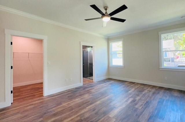 unfurnished bedroom with multiple windows, a spacious closet, and dark wood-type flooring