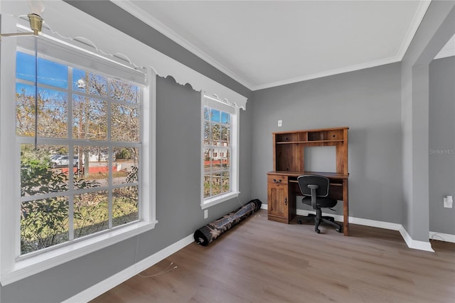 office featuring a wealth of natural light, ornamental molding, and wood-type flooring