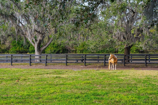 view of yard featuring a rural view