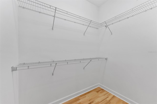 spacious closet with light wood-type flooring