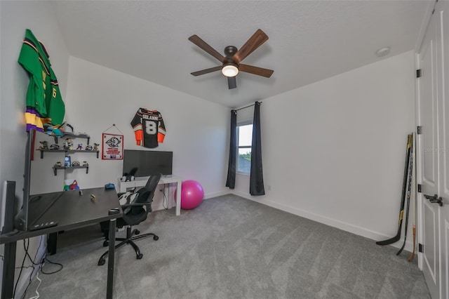 office area with light carpet