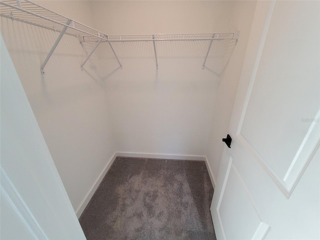 spacious closet featuring dark colored carpet