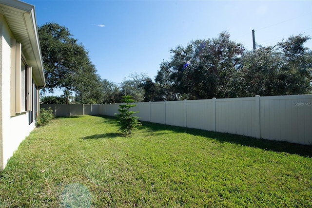 view of yard