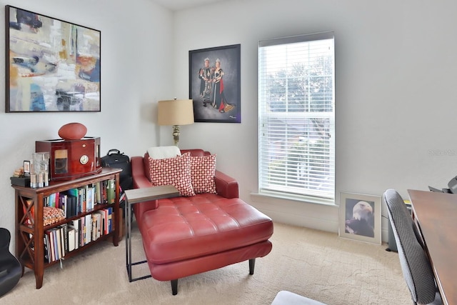 3222 W Empedrado St, Tampa, FL 33629 - sitting room with plenty of natural light and carpet