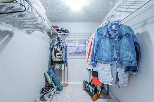 walk in closet with carpet