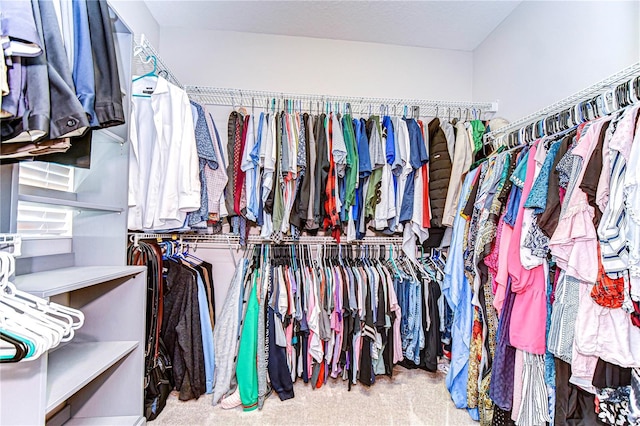 walk in closet featuring carpet floors