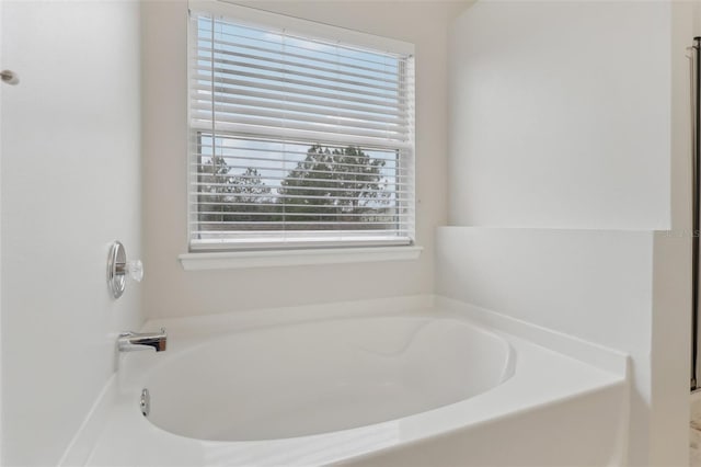 bathroom featuring a healthy amount of sunlight and a washtub