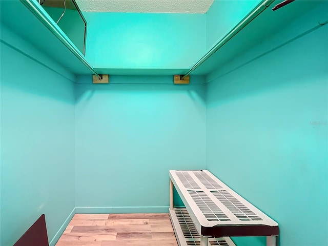 spacious closet with light wood-type flooring